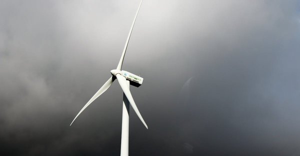 Comprendre les enjeux du développement durable en 2025