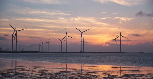 En savoir plus sur développement durable en 2026