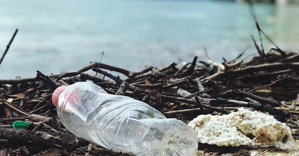 Pourquoi le recyclage est crucial pour préserver notre planète en 2025