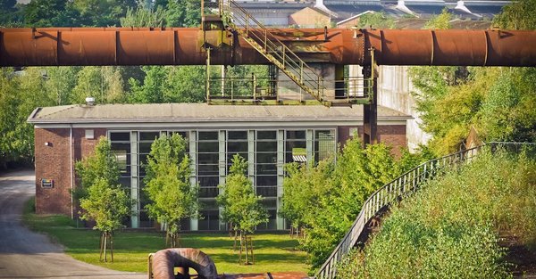 La transition écologique : quelles sont les priorités ?